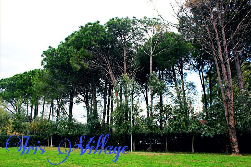 Iris Village San Sostene 外观 照片